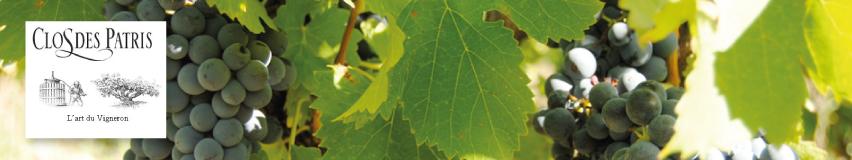 Clos des patris
