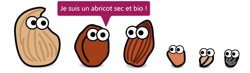 Les fruits secs