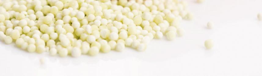 Tapioca