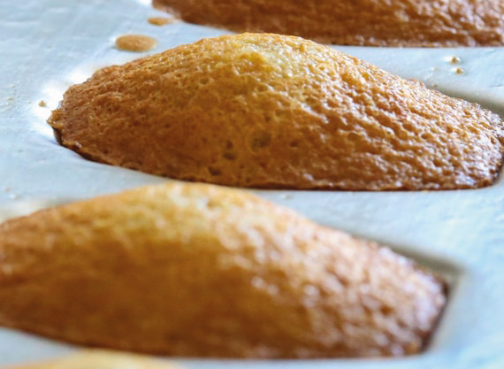 Madeleines